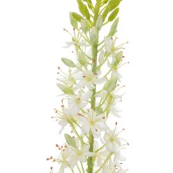 rama de Lirio Foxtail artificial - 105 cm