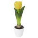 vela en caja tulipán amarillo