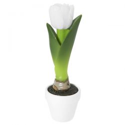 vela en caja tulipán blanco
