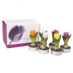 set de 6 velas tulipanes